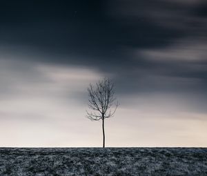 Preview wallpaper tree, winter, minimalism, snow, starry sky