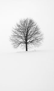 Preview wallpaper tree, winter, snow, minimalism, bw
