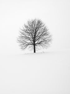 Preview wallpaper tree, winter, snow, minimalism, bw