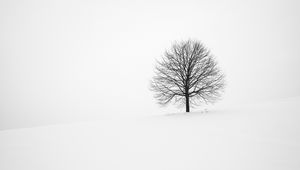 Preview wallpaper tree, winter, snow, minimalism, bw