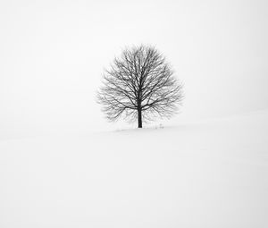 Preview wallpaper tree, winter, snow, minimalism, bw