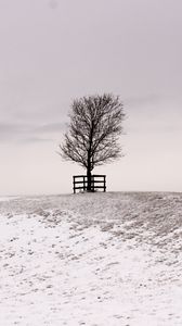 Preview wallpaper tree, winter, snow, field, bw, minimalism