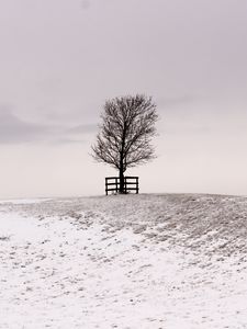 Preview wallpaper tree, winter, snow, field, bw, minimalism