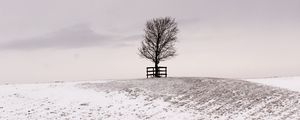 Preview wallpaper tree, winter, snow, field, bw, minimalism