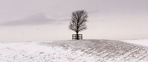 Preview wallpaper tree, winter, snow, field, bw, minimalism