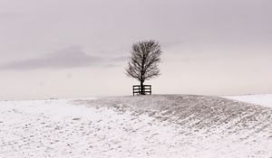 Preview wallpaper tree, winter, snow, field, bw, minimalism