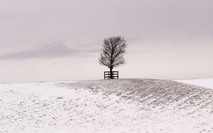 Preview wallpaper tree, winter, snow, field, bw, minimalism