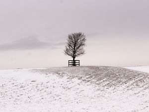 Preview wallpaper tree, winter, snow, field, bw, minimalism