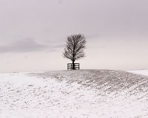 Preview wallpaper tree, winter, snow, field, bw, minimalism