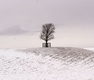 Preview wallpaper tree, winter, snow, field, bw, minimalism