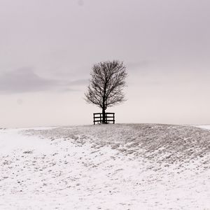 Preview wallpaper tree, winter, snow, field, bw, minimalism