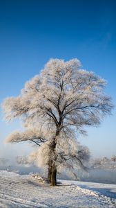 Preview wallpaper tree, winter, snow, snowy