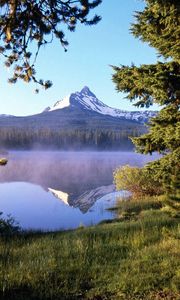 Preview wallpaper tree, wood, lake, evaporation, fog, trunk, mountain, reflection