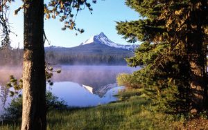 Preview wallpaper tree, wood, lake, evaporation, fog, trunk, mountain, reflection