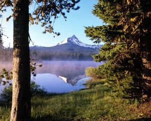 Preview wallpaper tree, wood, lake, evaporation, fog, trunk, mountain, reflection