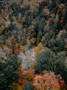 Preview wallpaper trees, aerial view, autumn, colors of autumn, tops