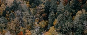 Preview wallpaper trees, aerial view, autumn, colors of autumn, tops