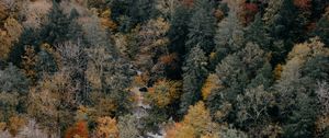 Preview wallpaper trees, aerial view, autumn, colors of autumn, tops