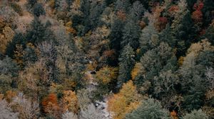 Preview wallpaper trees, aerial view, autumn, colors of autumn, tops