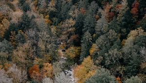 Preview wallpaper trees, aerial view, autumn, colors of autumn, tops