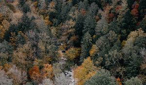 Preview wallpaper trees, aerial view, autumn, colors of autumn, tops