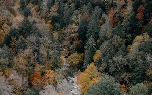 Preview wallpaper trees, aerial view, autumn, colors of autumn, tops