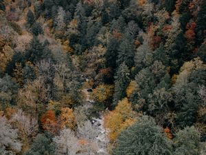 Preview wallpaper trees, aerial view, autumn, colors of autumn, tops