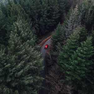 Preview wallpaper trees, aerial view, car, forest, fog