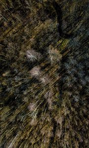 Preview wallpaper trees, aerial view, forest, nature