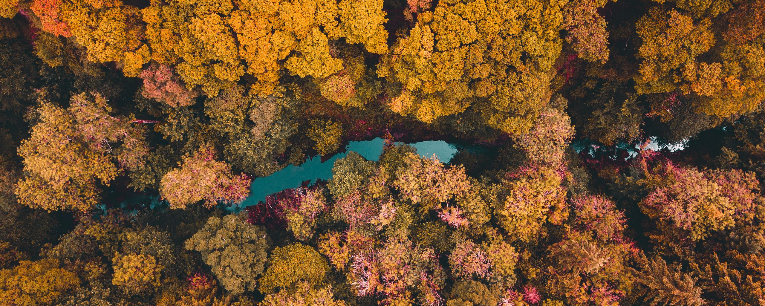 Download wallpaper 2560x1024 trees, aerial view, lake, forest ultrawide