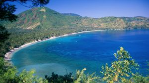 Preview wallpaper trees, asia, coast, mountains, blue water