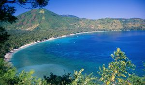 Preview wallpaper trees, asia, coast, mountains, blue water