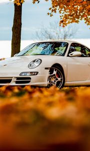 Preview wallpaper trees, autumn, 911, white, porsche, sky, leaves