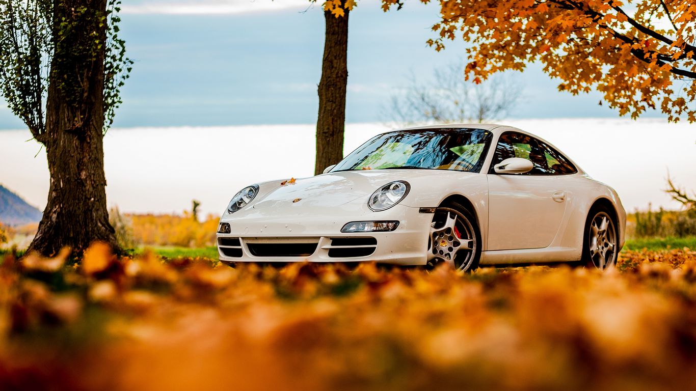 Wallpaper Autumn, Trees, 911, Porsche, Porsche, Porsche, Porsche 911