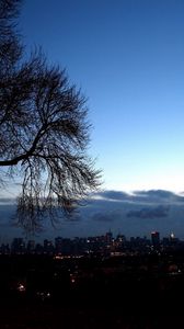 Preview wallpaper trees, autumn, branches, city, distance, outlines