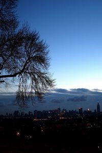 Preview wallpaper trees, autumn, branches, city, distance, outlines