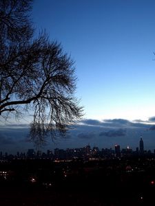 Preview wallpaper trees, autumn, branches, city, distance, outlines