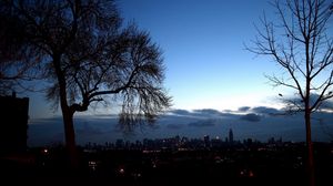 Preview wallpaper trees, autumn, branches, city, distance, outlines