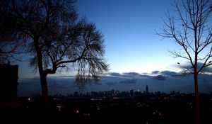 Preview wallpaper trees, autumn, branches, city, distance, outlines