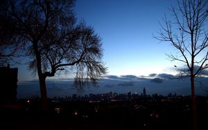 Preview wallpaper trees, autumn, branches, city, distance, outlines