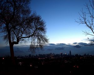 Preview wallpaper trees, autumn, branches, city, distance, outlines