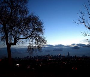 Preview wallpaper trees, autumn, branches, city, distance, outlines