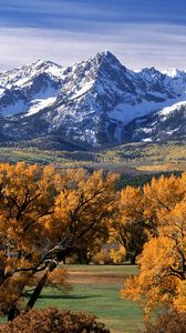 Preview wallpaper trees, autumn, crones, yellow, mountains, tops, colorado