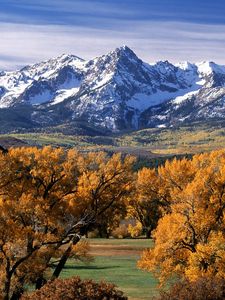 Preview wallpaper trees, autumn, crones, yellow, mountains, tops, colorado