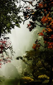 Preview wallpaper trees, autumn, fog, art, rocks