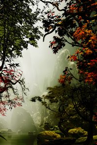 Preview wallpaper trees, autumn, fog, art, rocks