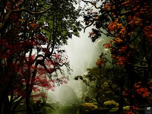 Preview wallpaper trees, autumn, fog, art, rocks