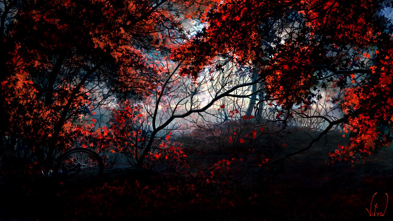 Wallpaper trees, autumn, forest, bike, art