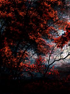 Preview wallpaper trees, autumn, forest, bike, art