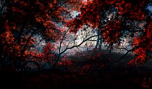 Preview wallpaper trees, autumn, forest, bike, art